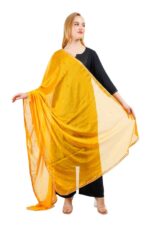 Dupatta Scarf Chunni Golden Lace Chinon Stone Semi Chiffon Hijab Party - Image 4