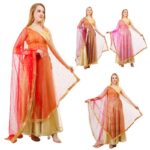 Net Dupatta With Golden Beads Lace Zari Work Art Silk Chunni Hijab Wrap